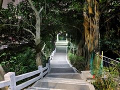 -广州市白云山风景名胜区