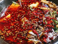 -蛙老爹·蜀香美蛙鱼头(王家湾店)