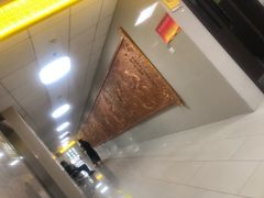 -上海市杨浦区中医医院