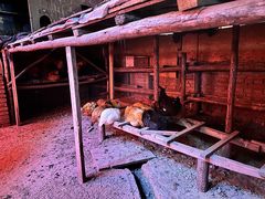 -鱼窝棚柴火铁锅炖(富山屯店)