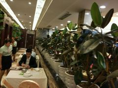 -椿记烧鹅(叠彩店)