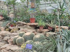 -国家植物园南园