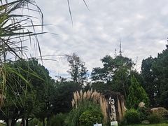 -白鹭湾湿地公园