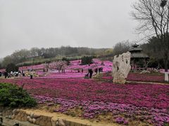 -棒棰岛宾馆景区