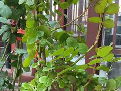 -白鹭湾湿地公园