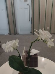 -Yestar艺星整形美容医院