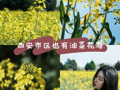 -汉长安城未央宫国家考古遗址公园