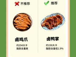 -Fundi张玉珊修身堂·indiba·BTL科技瘦身