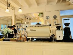 -Fern Forest Cafe