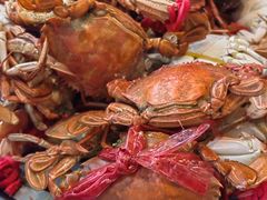 -半岛听涛蒸汽海鲜自助(K11店)