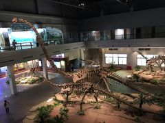 -自贡恐龙博物馆