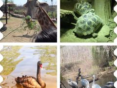 -济南野生动物世界