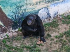 -西霞口神雕山野生动物世界