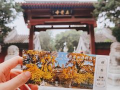 -北京石刻艺术博物馆(五塔寺)