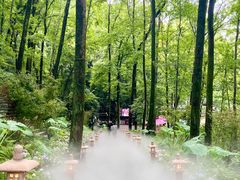 -杭州灵山景区