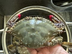 -盒马鲜生(红莲店)