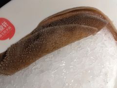 -九鼎轩脆毛肚火锅(南京东路店)