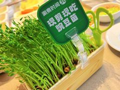 -海底捞火锅(奥森店)