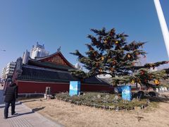 -烟台市博物馆