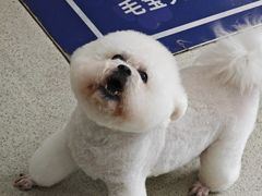 -宠颐生宠物医院·异宠猫科内科·诊疗中心宠巢店