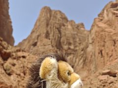 -天山神秘大峡谷