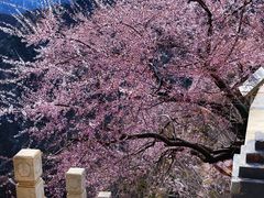 -圣莲山风景区