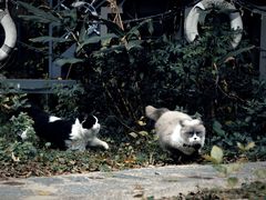 -糖果时光文创产业园