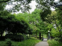 -尚贤河湿地