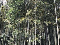 -苏州环秀晓筑养生度假村