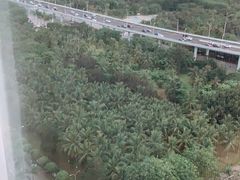 -万绿园