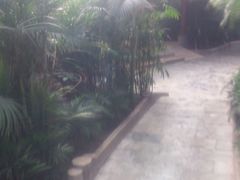 android_upload_pic-龙达温泉生态城