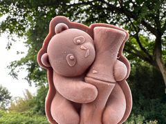 -成都大熊猫繁育研究基地