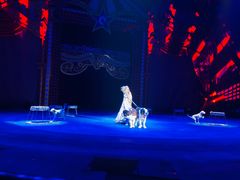 -珠海横琴长隆《卡卡虎奇遇记》