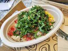 -油梨树AVOCADO TREE(望京店)