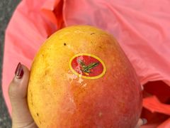 -新鸿港水果市场(三亚新鸿港国际商品交易中心店)