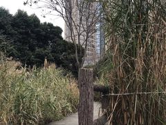 -成都市活水公园
