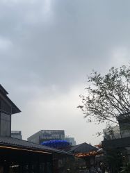 -程Studio