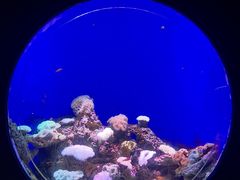 -江和美海洋公园