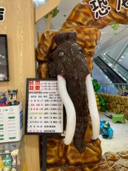 -宾果乐园·儿童乐园·手工乐园