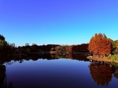 -尚贤河湿地