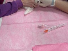 -北京观赏动物医院·24小时大型综合·猫专科·异宠专科