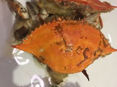 -阿英煲(凉城路店)