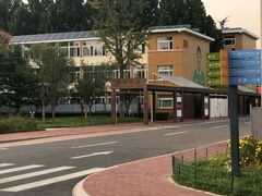 -山东鲁能乒乓球学校