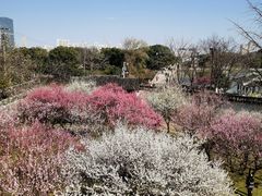 -苏州上方山国家森林公园