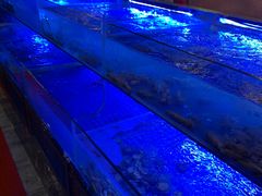 -特色酱椒鱼私房菜(黄鹤楼店)