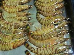 -青岛沙子口国家中心渔港