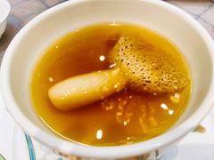 松茸炖绣球豆腐-新光酒家·河豚·海鲜·蟹料理(浦东店)