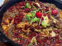 -老板恋上鱼(恒隆广场店)