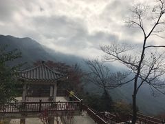 -广州市石门国家森林公园
