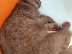 -宝大祥青少年儿童购物中心(南京东路店)